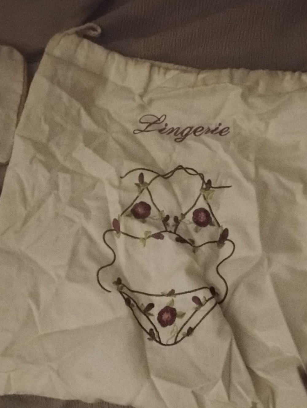 Lingerie Bag